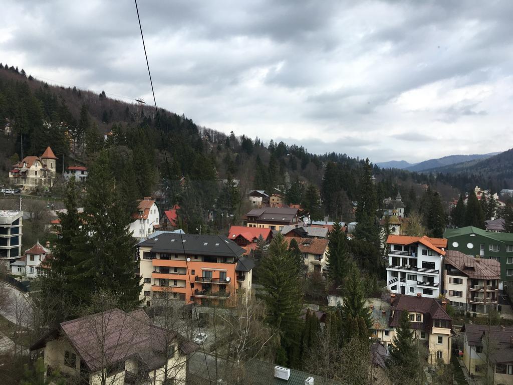 Sinaia View Exterior foto