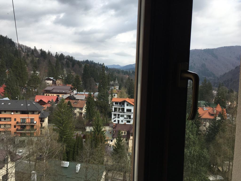 Sinaia View Exterior foto